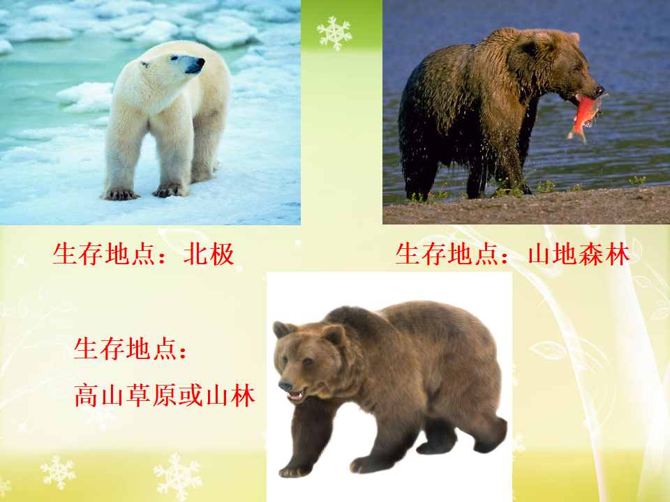六年级上册科学谁选择了它们_22.png