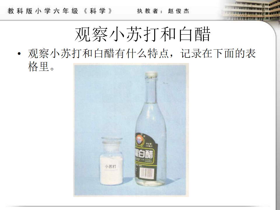 教科小学科学六下《2.4、小苏打和白醋的变化》PPT课件3_03.png