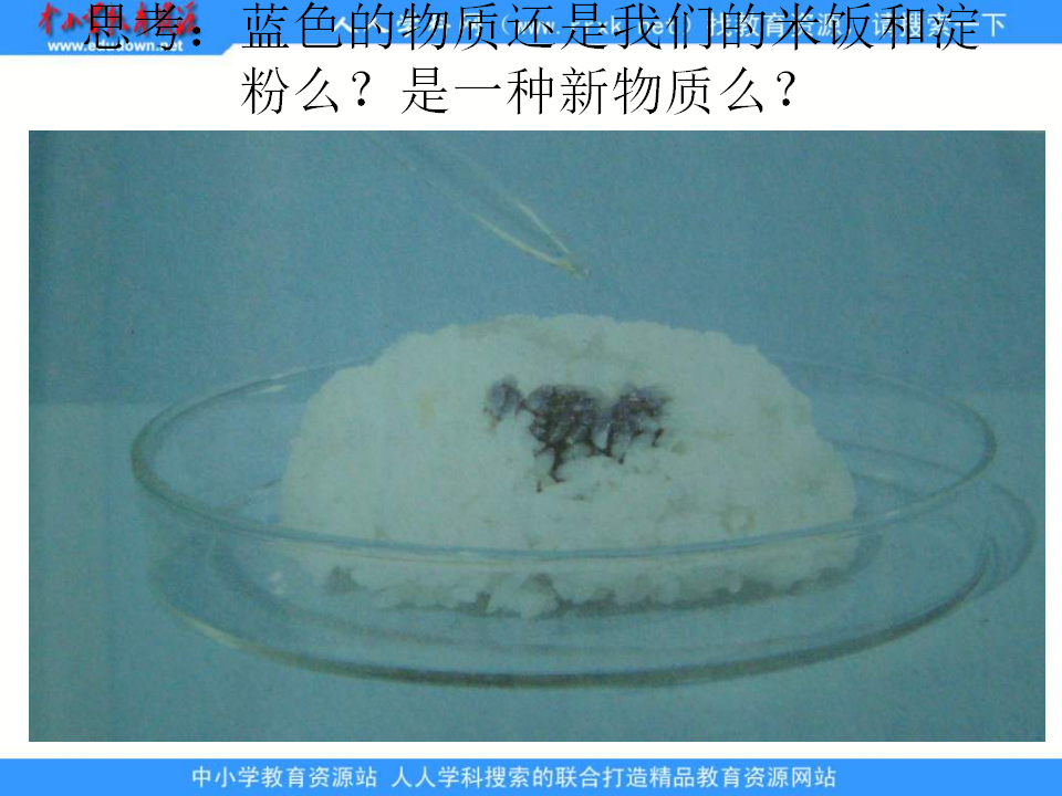 教科小学科学六下《2.3、米饭、淀粉和碘酒的变化》PPT课件4_12.png