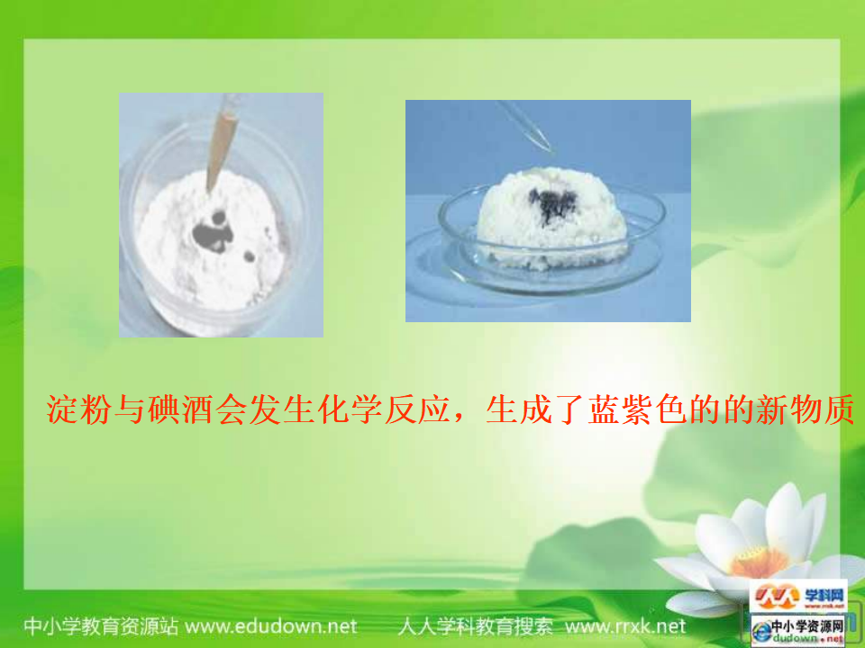 教科小学科学六下《2.3、米饭、淀粉和碘酒的变化》PPT课件3_08.png