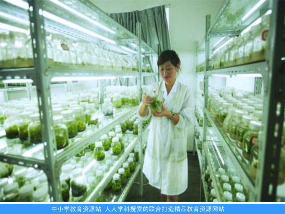 教科小学科学六下《1.8、微小世界和我们》PPT课件4_22.png