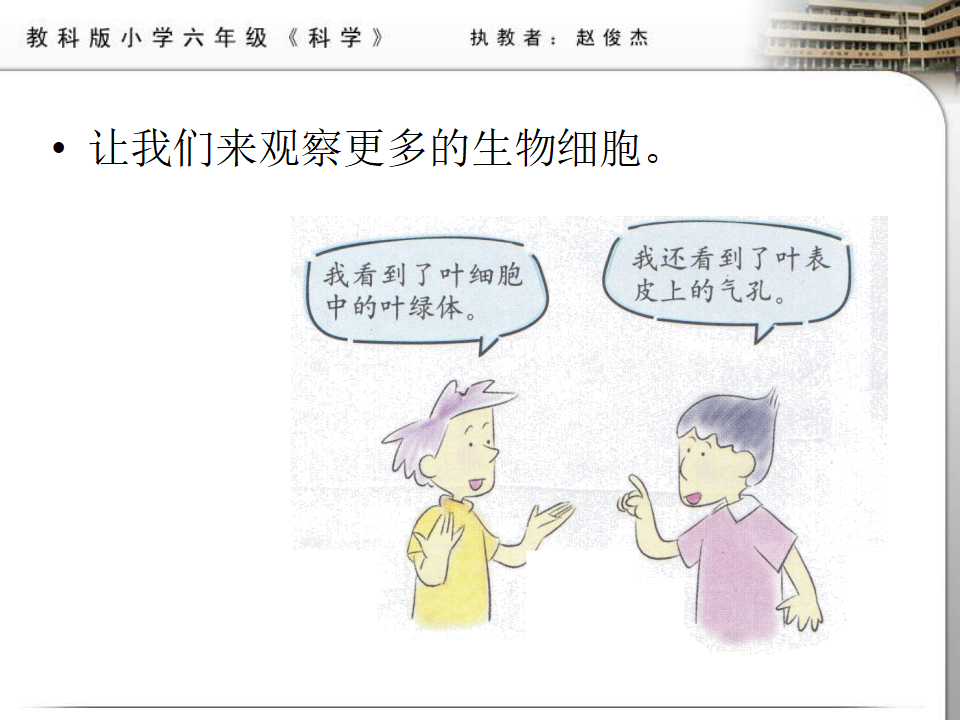教科小学科学六下《1.6、用显微镜观察身边的生命世界（二）》PPT课件2_02.png