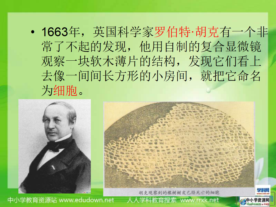 教科小学科学六下《1.5、用显微镜观察身边的生命世界（一）》PPT课件3_05.png