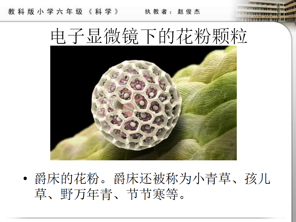 教科小学科学六下《1.4、怎样放得更大》PPT课件4_12.png