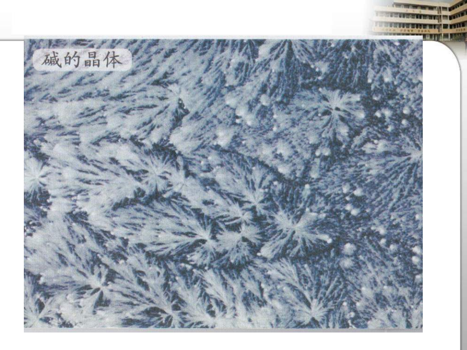 教科小学科学六下《1.3、放大镜下的晶体》PPT课件4_17.png