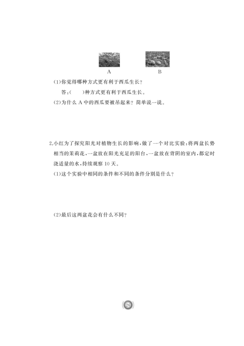 二年级上册科学试题-第三单元课时练（图片版无答案）青岛版_06.png