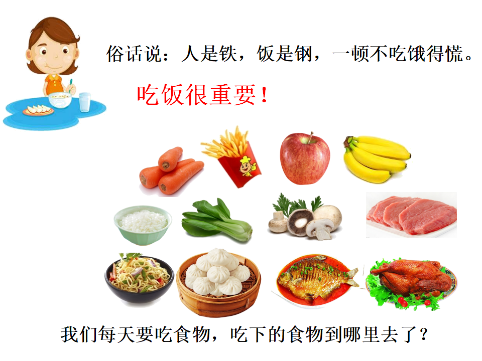 《食物到哪里去了》_02.png