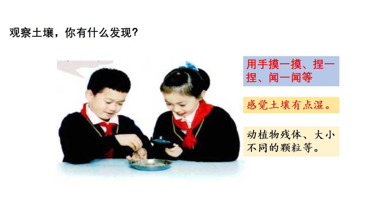 《土壤的成分》课件（11PPT）_02.png