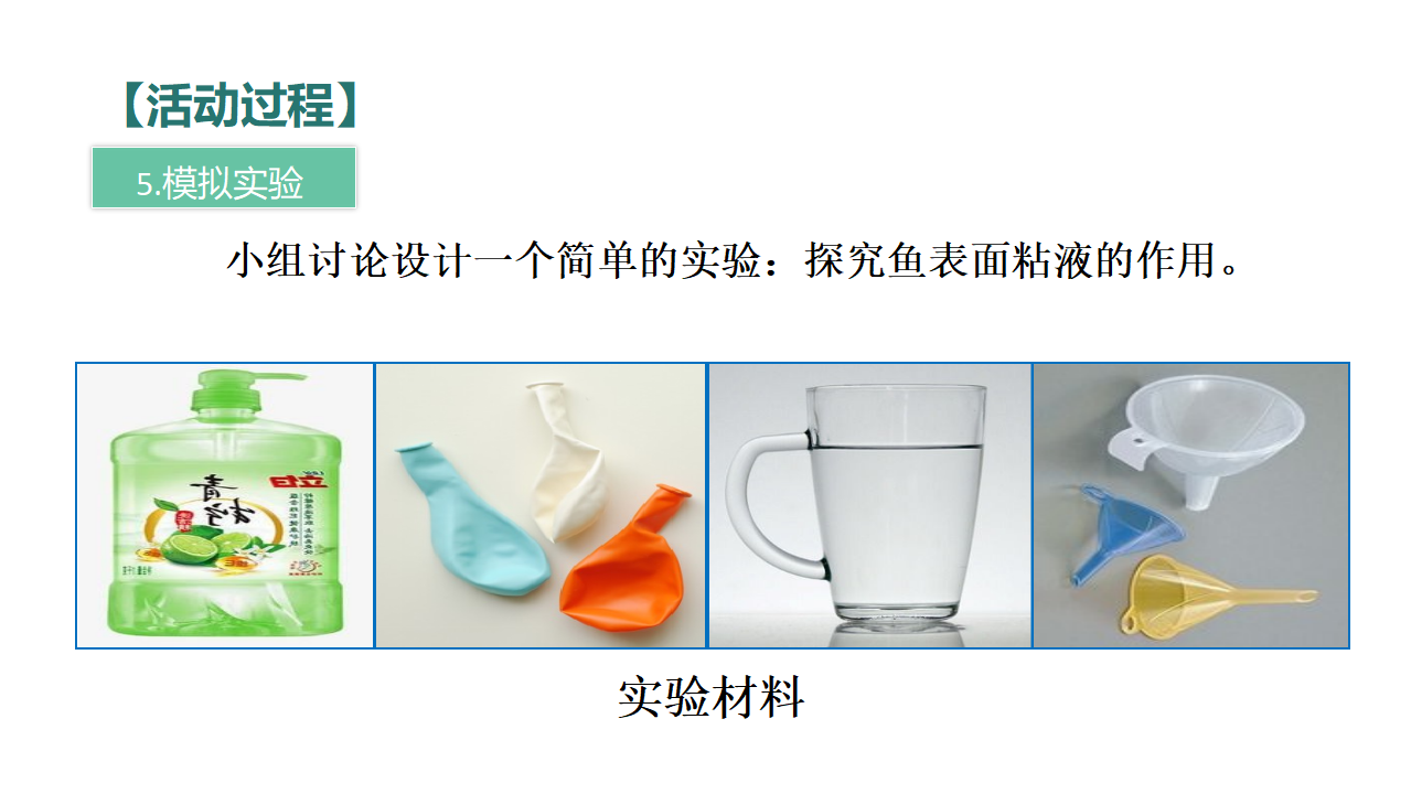 《动物的皮肤》_11.png