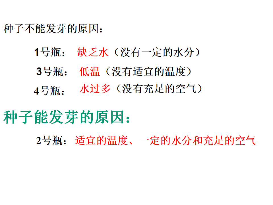 《13种子发芽了》_15.png