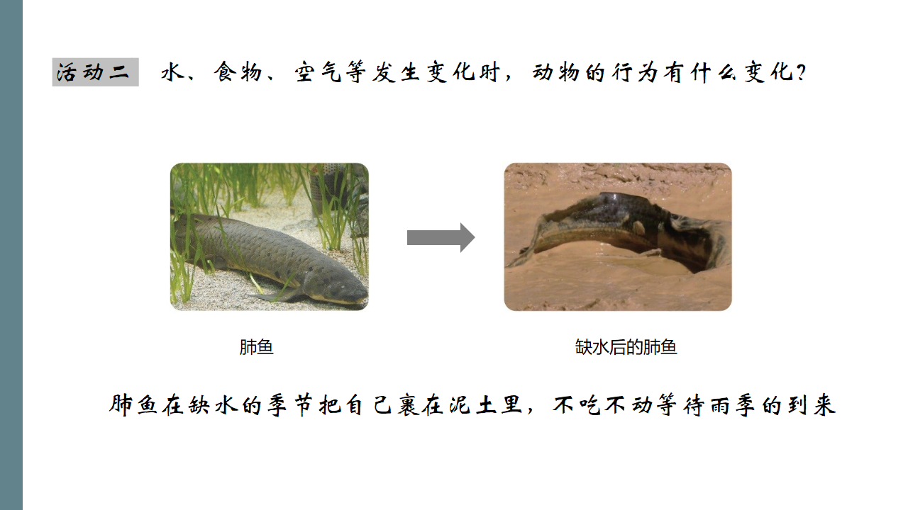 2.7 动物行为与环境变化_07.png