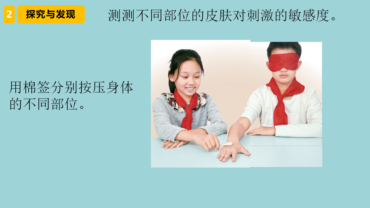 1.5 触觉 课件共17张PPT_10.png