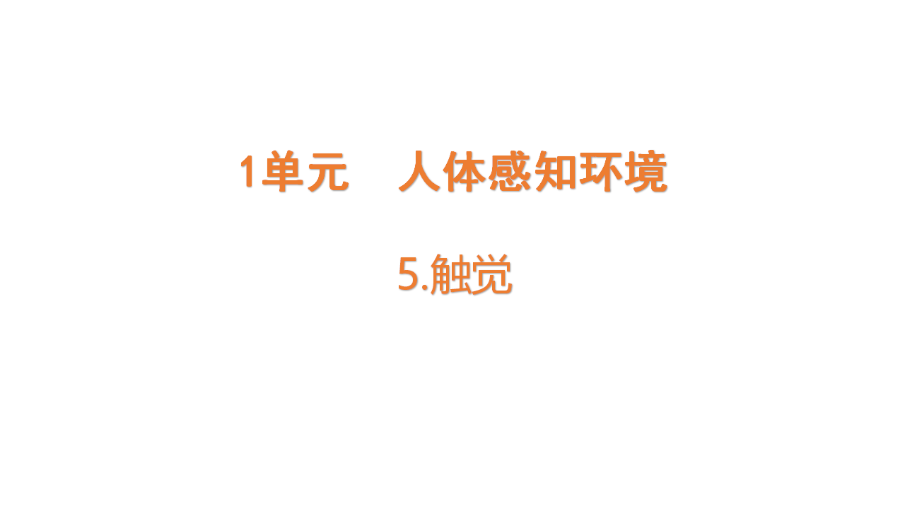 1.5 触觉    课件共15张PPT_01.png