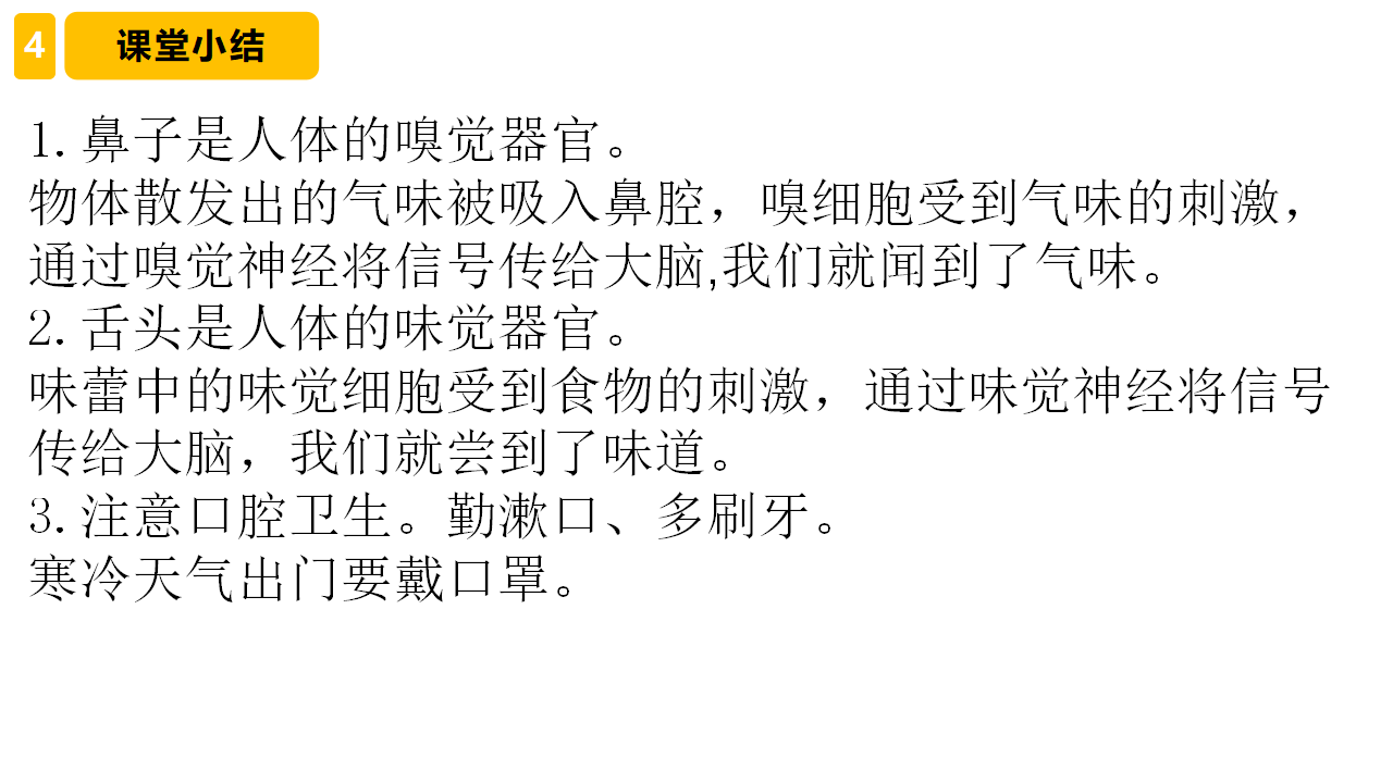 1.4 嗅觉和味觉 课件共14张PPT_13.png