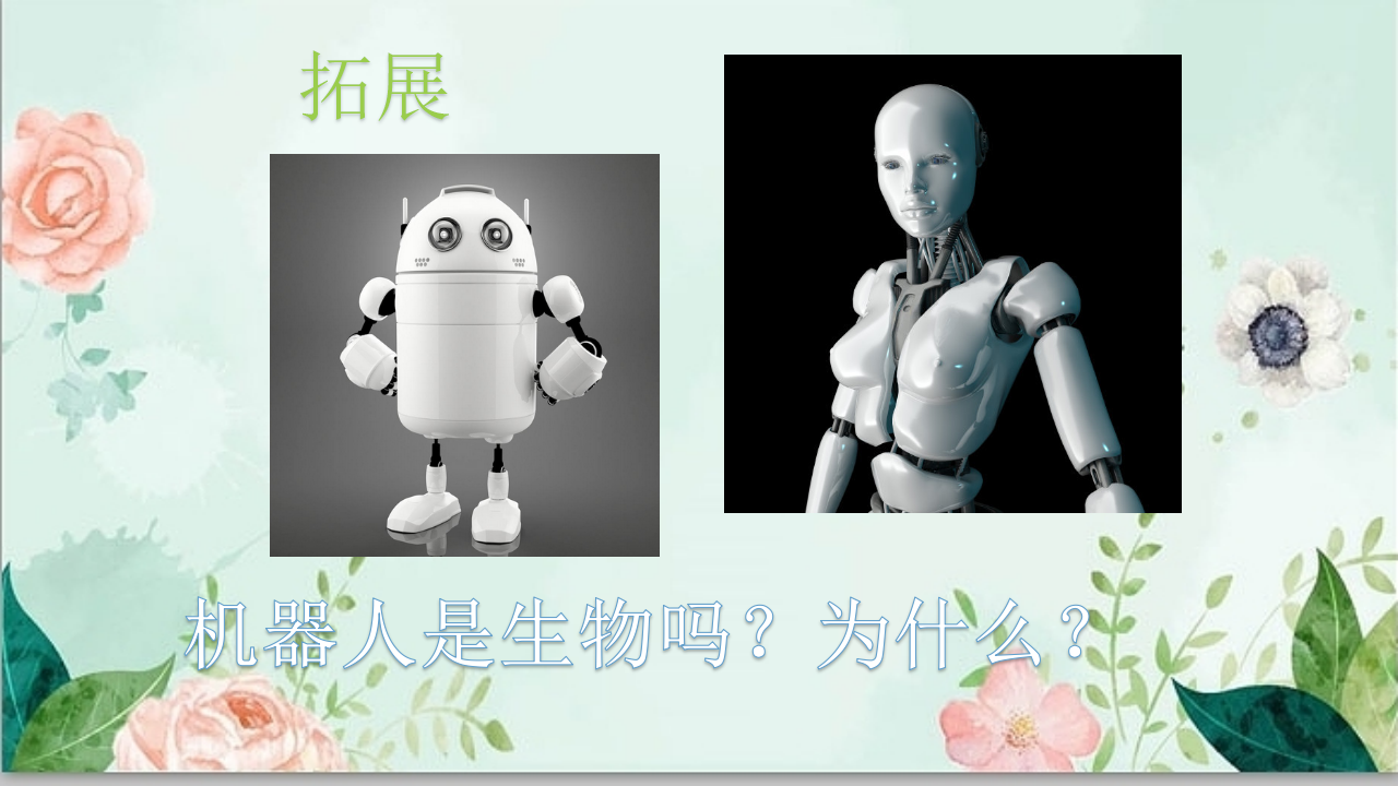 17：生物与非生物-青岛版_15.png