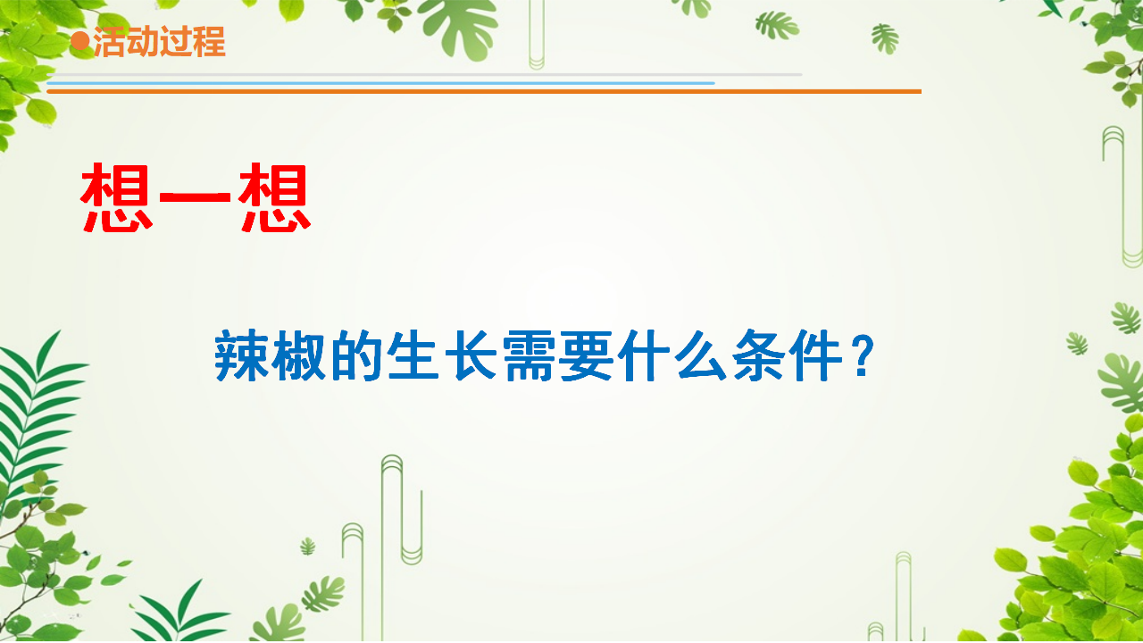 12：《种辣椒》-青岛版_15.png