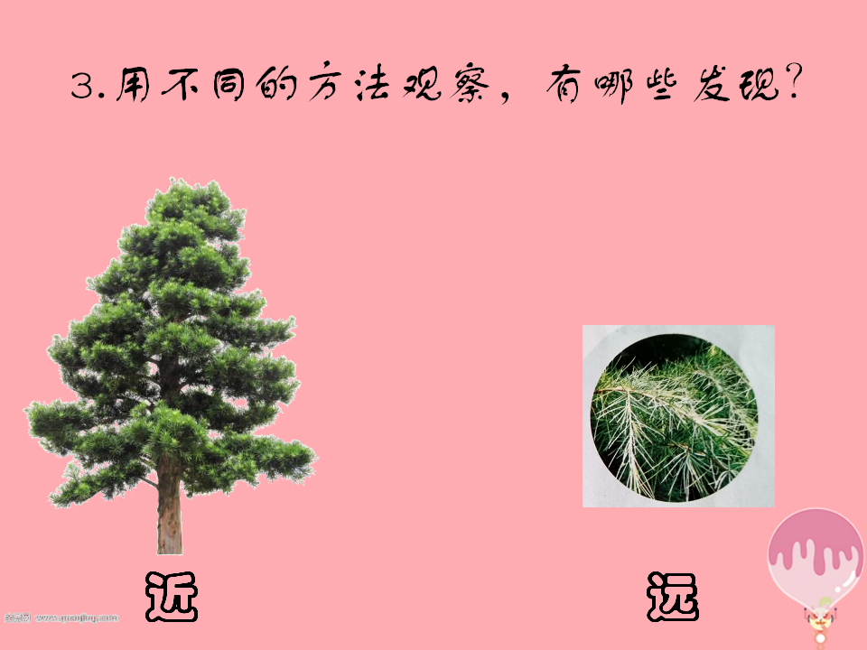 第3课看一看课件2青岛版六三制_06.png