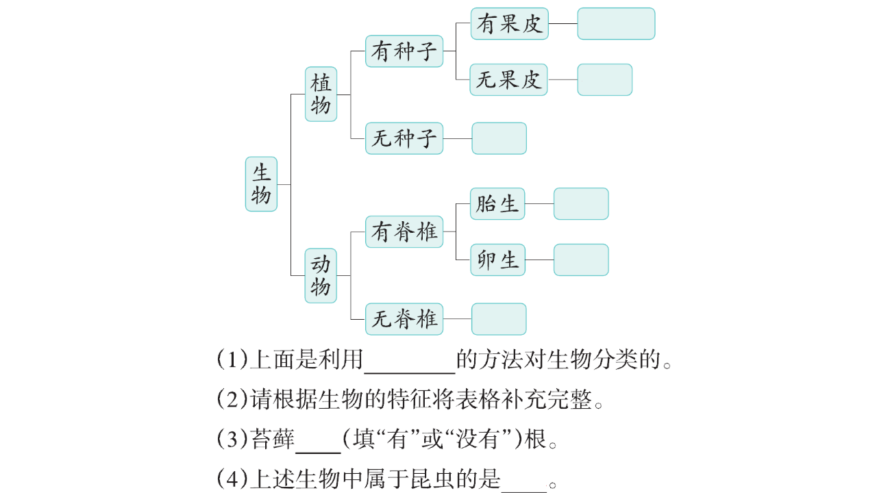 第02单元实验探究 课件 图片版，共9张PPT_03.png