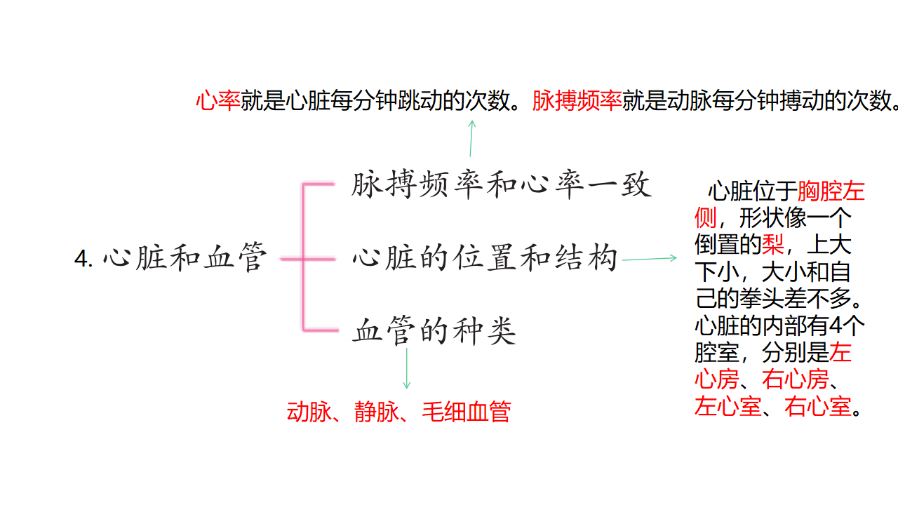 第01单元：心和脑复习课件五年级科学下册青岛版（六三制）_06.png