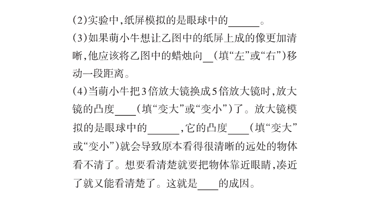 第01单元实验探究（课件）图片版共11张PPT_04.png