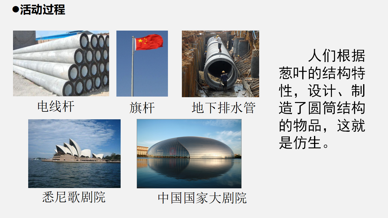 23.《生物的启示》_09.png
