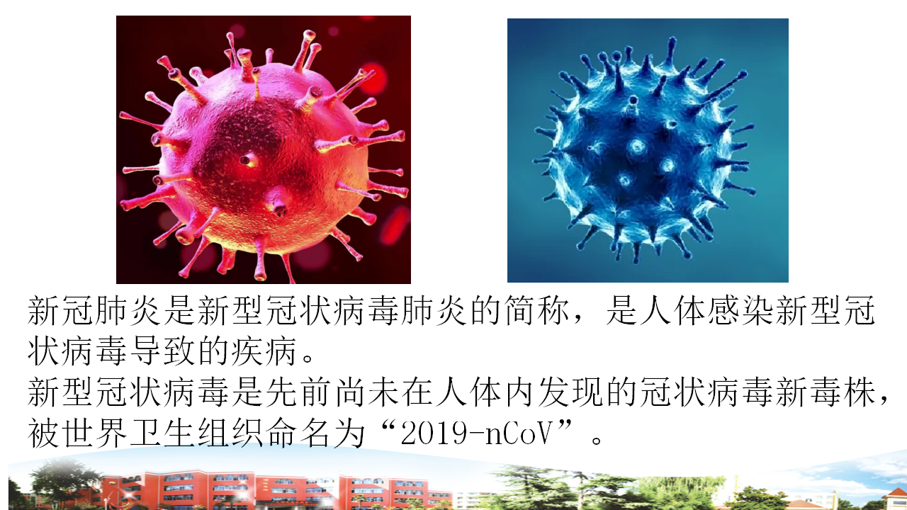 第六单元复习（课件）_04.png