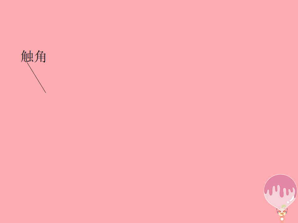 第8课玩彩泥课件青岛版六三制_30.png