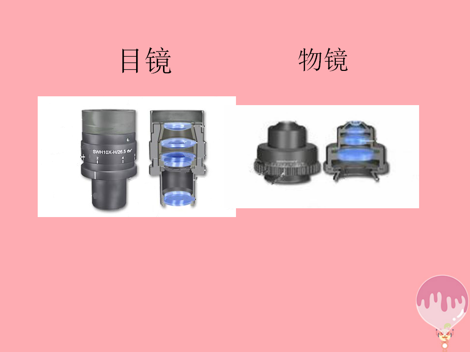 第15课放大镜课件1青岛版六三制 1_11.png