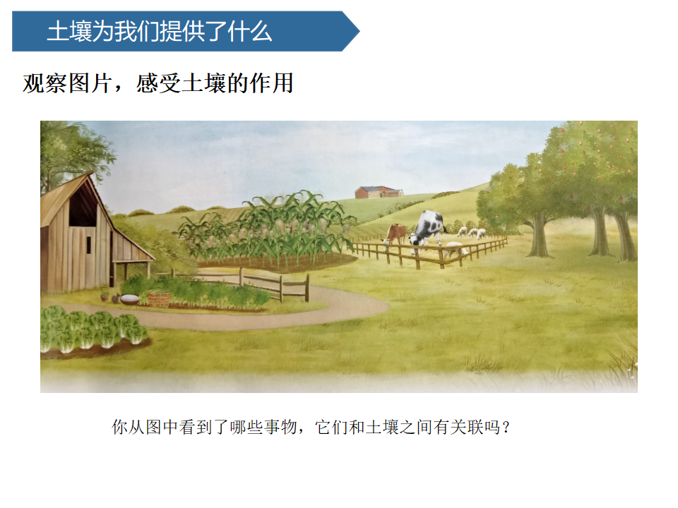 第11课 保护土壤 课件 共14张ppt_04.png