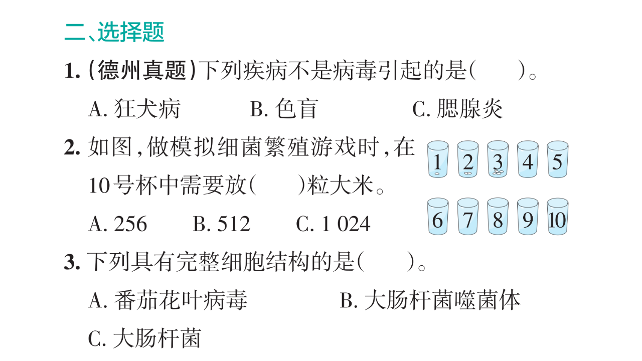 青岛版（六三制2022） 六年级上册2.4.细菌和病毒（含练习）课件 共17张PPT_15.png