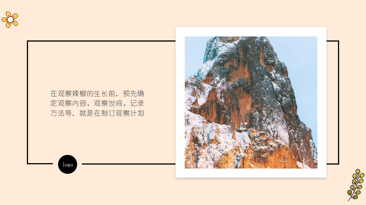 青岛版（2017）科学第四单元复习课件_14.png