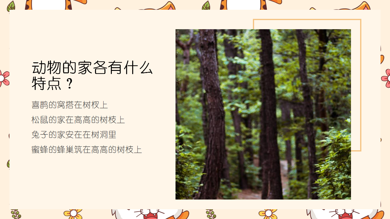 青岛版（2017）科学第五单元复习课件_10.png