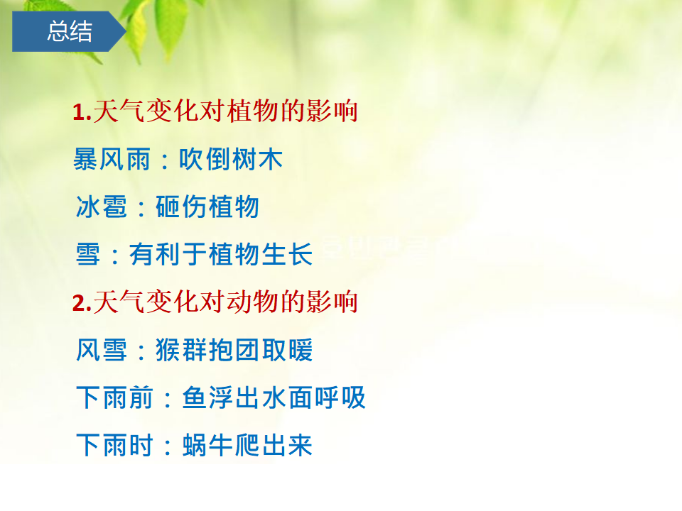 二年级下册科学课件-第9课天气与动植物 青岛版（六年制）共12张PPT_09.png