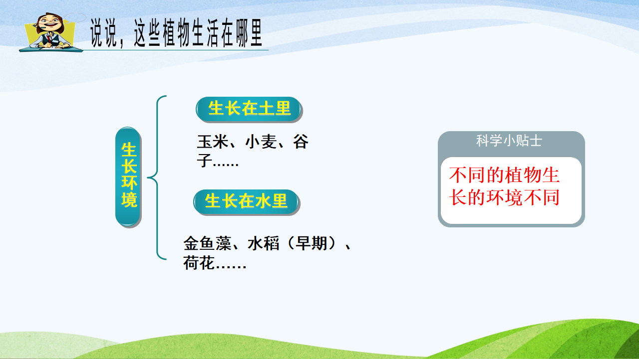 青岛版科学六三制一下第8课我们周围的植物课件_14.png