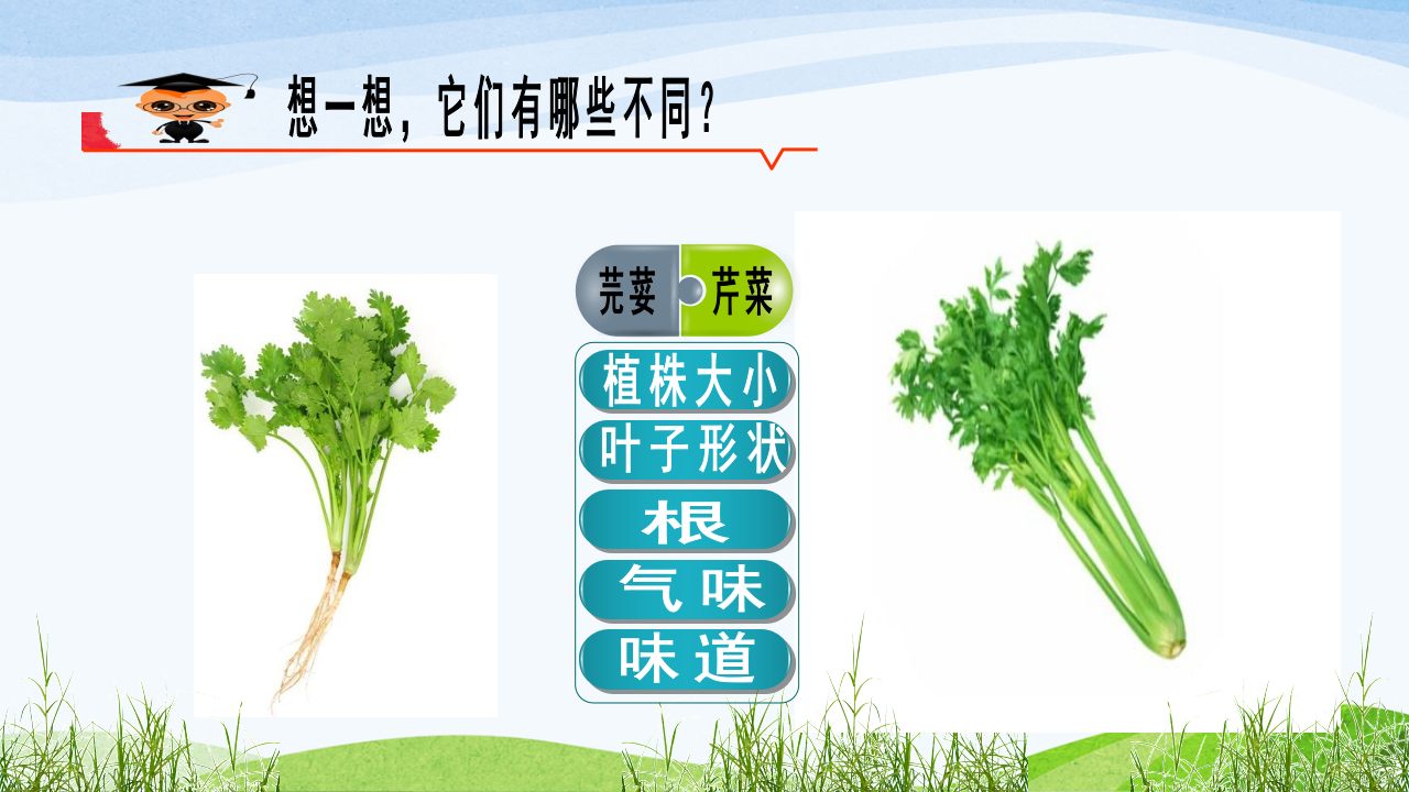 青岛版科学六三制一下第8课我们周围的植物课件_16.png