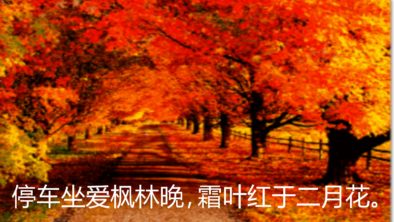 青岛版科学二年级上册第7课春夏秋冬PPT课件2_30.png