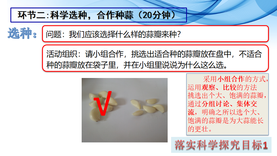 青岛版二年级上册科学3.9植物和阳光PPT课件_17.png