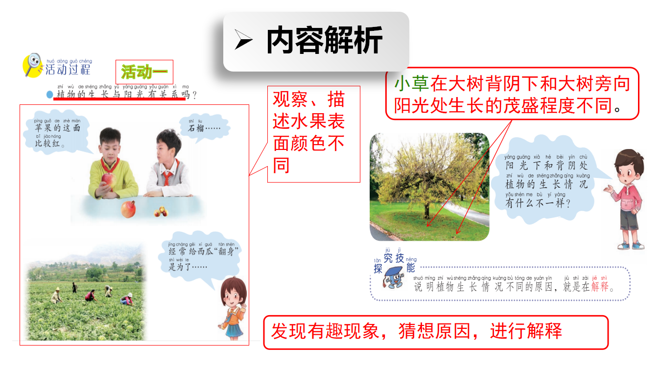 青岛版二年级上册科学3.10植物和阳光PPT课件_04.png