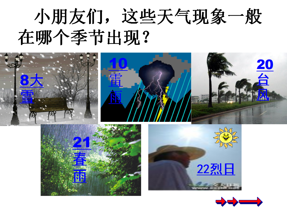 青岛版二年级上册科学2.7春夏秋冬PPT课件_07.png