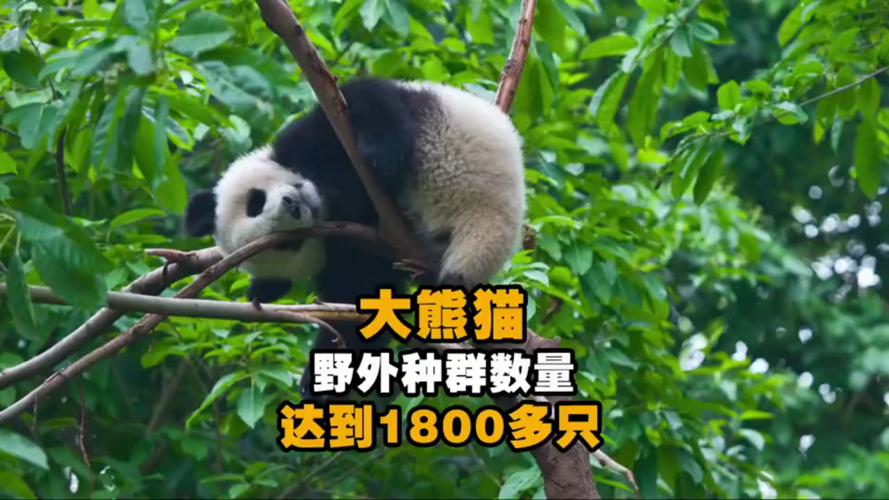 生物的栖息地_18.png
