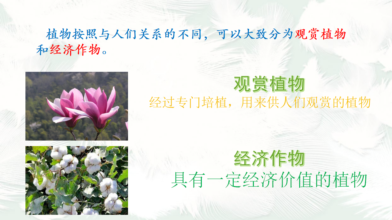 四年级下册科学课件《第四单元复习》青岛版（2017）_16.png