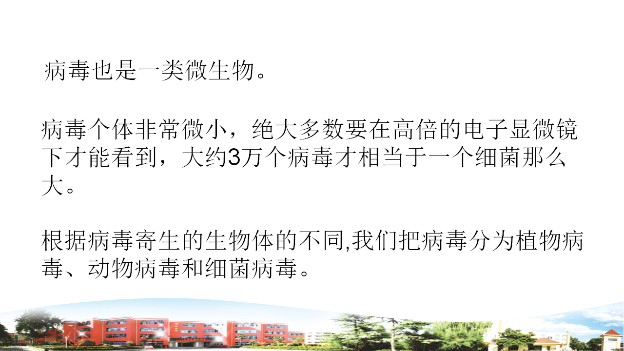新青岛版六年级上册 2.4 细菌和病毒 课件（23张PPT）_14.png