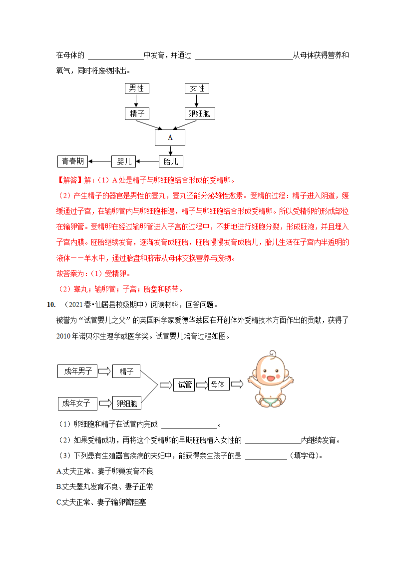 1.1 新生命的诞生（原卷版）2246_13.png