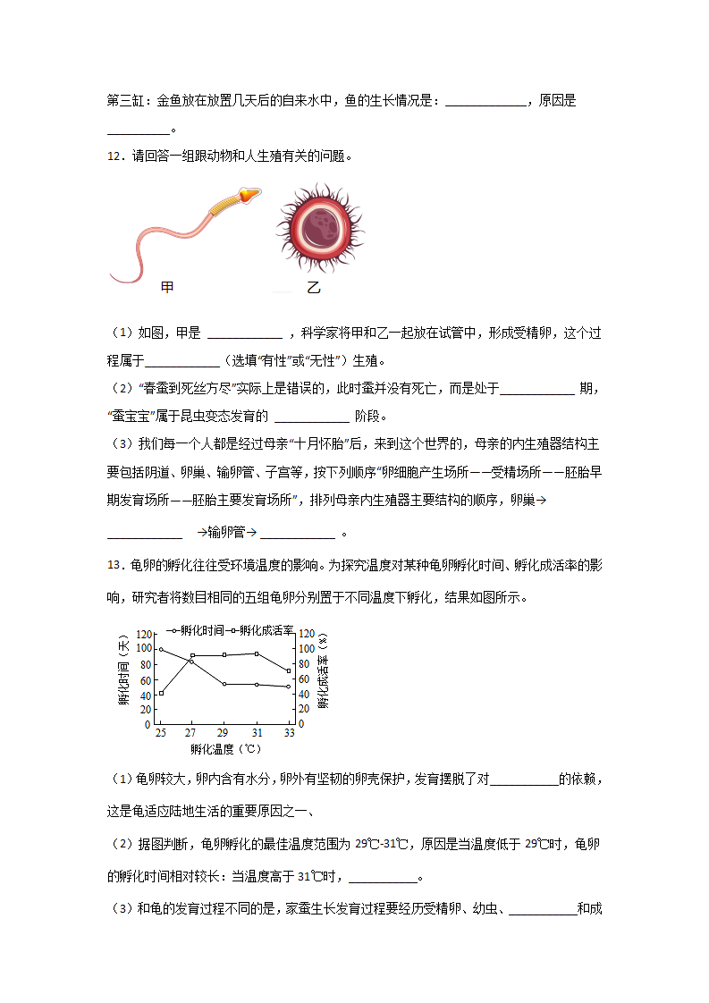 1.3 动物的生长时期（原卷版）0852_05.png