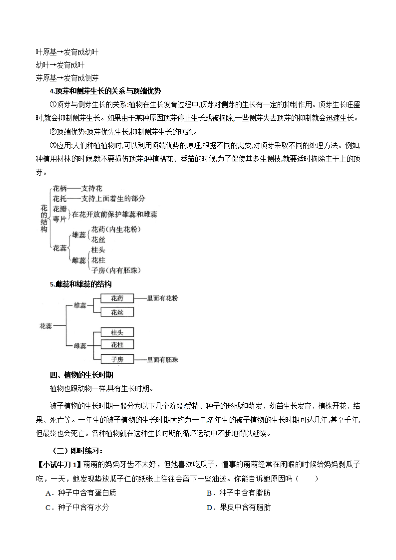1.4 植物的一生七年级浙教版科学（原卷版）2072_04.png