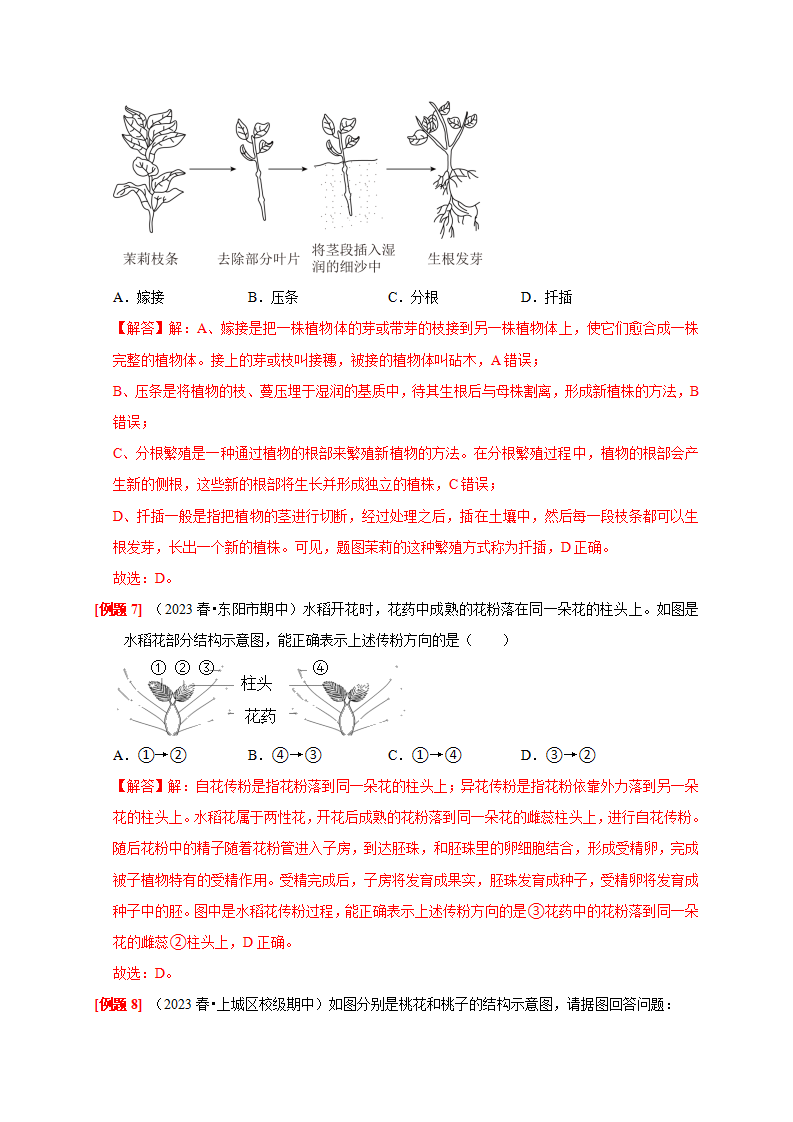 1.5 植物生殖方式的多样性（解析版）2237_07.png
