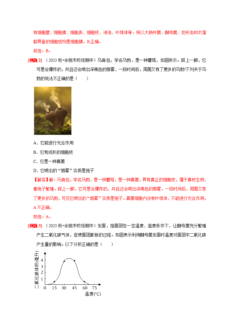 1.6 细菌和真菌的繁殖（解析版）2238_04.png