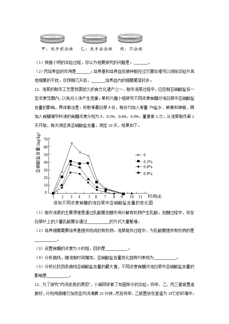 1.6 细菌和真菌的繁殖原卷版0847_05.png