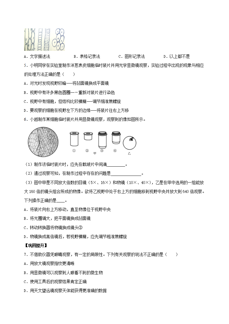 2.1 生物体的基本单位（第3课时）（分层作业）-（浙教版）【原卷版】1133_02.png