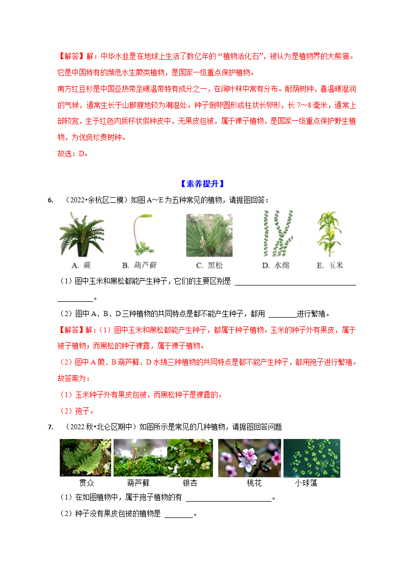 2.2 形形色色的植物（解析版）1081_11.png